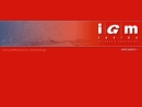 Website Snapshot of IGM Resins, Inc.