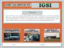 Website Snapshot of IGSI, Inc.