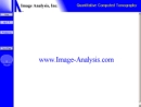 Website Snapshot of Image Analysis, Inc.