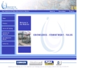 Website Snapshot of Industrial Gas Technology, Inc.