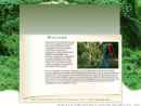 Website Snapshot of INVASIVE PLANT CONTROL INC