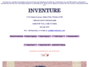 Website Snapshot of INVENTURE, INC.