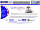 Website Snapshot of Ivey's Accounting Service Inc