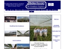 Website Snapshot of Jaderloon Co.