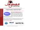 Website Snapshot of Jaguar Consulting