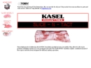 Website Snapshot of Kasel Associated Industries
