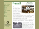 Website Snapshot of KASWELL & CO INC