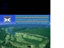 Website Snapshot of FORE GOLF SERVICES