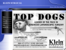 Website Snapshot of KLEIN SURGICAL SYSTEMS INC