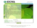 Website Snapshot of Kyowa Hakko U. S. A., Inc. (H Q)