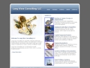 Website Snapshot of LONG VIEW CONSULTING LLC