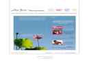 Website Snapshot of SUNDARI FOUNDATION, INC., THE
