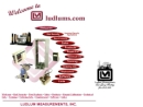 Website Snapshot of Ludlum Measurements Inc.