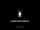 Website Snapshot of Luminous Audio Technology