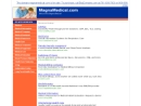 Website Snapshot of Magna Medical Systems