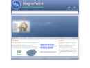 Website Snapshot of MAGNA WAND INC.