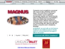 Website Snapshot of MAGNUS INTERNATIONAL TRADE SERVICES INC