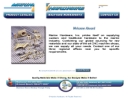 Website Snapshot of Marine Hardware Inc