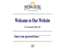 Website Snapshot of Medallion Lighting Corp.