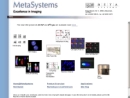 Website Snapshot of METASYSTEMS GROUP, INC.