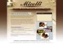 Website Snapshot of Micelli Chocolate Mold Co., Inc.