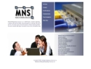 Website Snapshot of Midwest Networking Services, Inc.