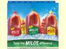 MILO'S TEA COMPANY, INC