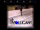 Website Snapshot of Mollicam, Inc.