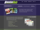 Website Snapshot of MomentumMedia