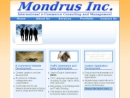 Website Snapshot of Mondrus, Inc.