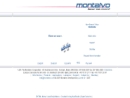 Website Snapshot of Montalvo Corp.