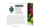 Website Snapshot of Morgro, Inc.