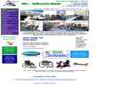 Website Snapshot of Mr Wheelchair Inc