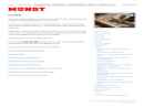 Website Snapshot of MUNDT CONSTRUCTION SERVICES, LLC