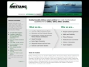 Website Snapshot of Mustang Technology Inc