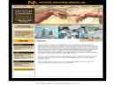 Website Snapshot of NATIONAL ANESTHESIA SERVICES INC