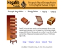Website Snapshot of Negafile Systems