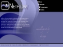 Website Snapshot of Netflow Inc
