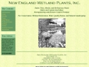 Website Snapshot of NEW ENGLAND WETLAND PLANTS, INC