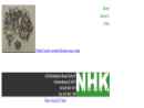 Website Snapshot of NHK Intex Corp.