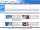 Website Snapshot of NIHAKI SYSTEMS INC