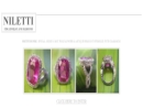 Website Snapshot of Niletti Creations Ltd.