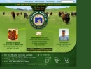 Website Snapshot of Niman Ranch Meat