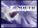 Website Snapshot of NOETIC STRATEGIES INC