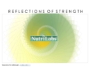 Website Snapshot of NutriLabs International, Inc.