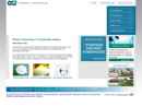 Website Snapshot of OCI Chemical Corp