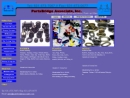 Website Snapshot of PartsBridge Associate, Inc.