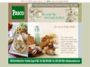 Website Snapshot of Pasco Corp. Of America