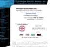 Website Snapshot of PATCHOGUE ELECTRIC MOTORS