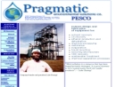 Website Snapshot of Pragmatic Environmental Solutions, Inc.